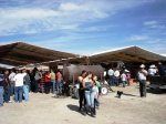 Expo Ganadera